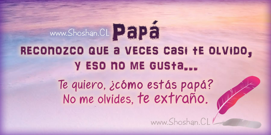 Carta a mi papá, a quien ya no veo tanto