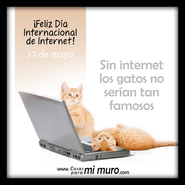 Feliz Día Internacional de Internet, 17 de mayo