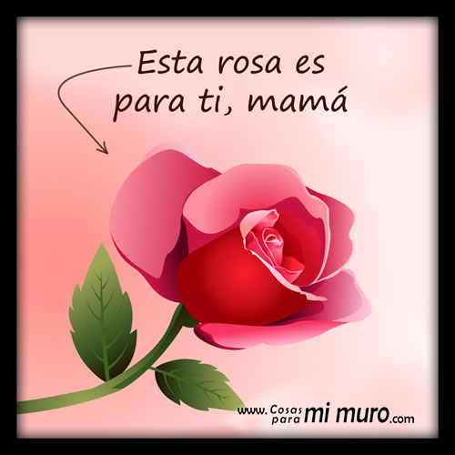 Imagen de una rosa para dedicar a mi mamá
